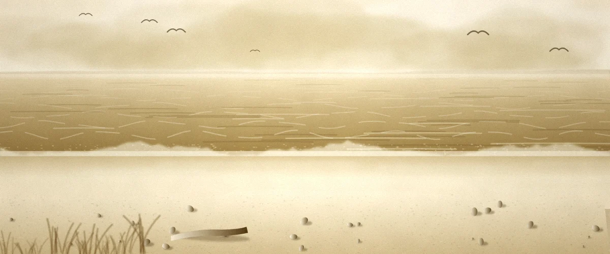 波打ち際と海鳥のいる砂浜の風景イラスト