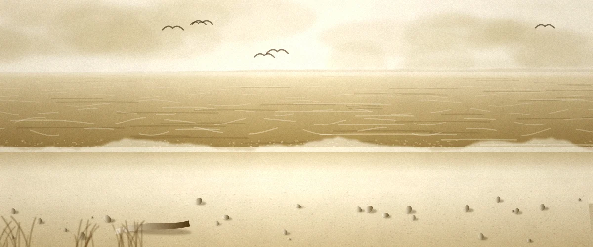 波打ち際と海鳥のいる砂浜の風景イラスト