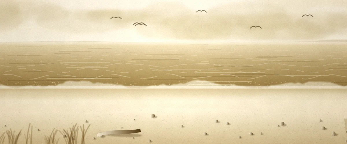 波打ち際と海鳥のいる砂浜の風景イラスト