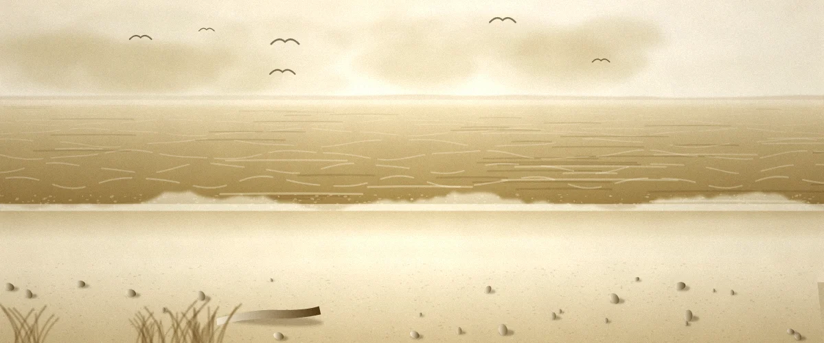 波打ち際と海鳥のいる砂浜の風景イラスト