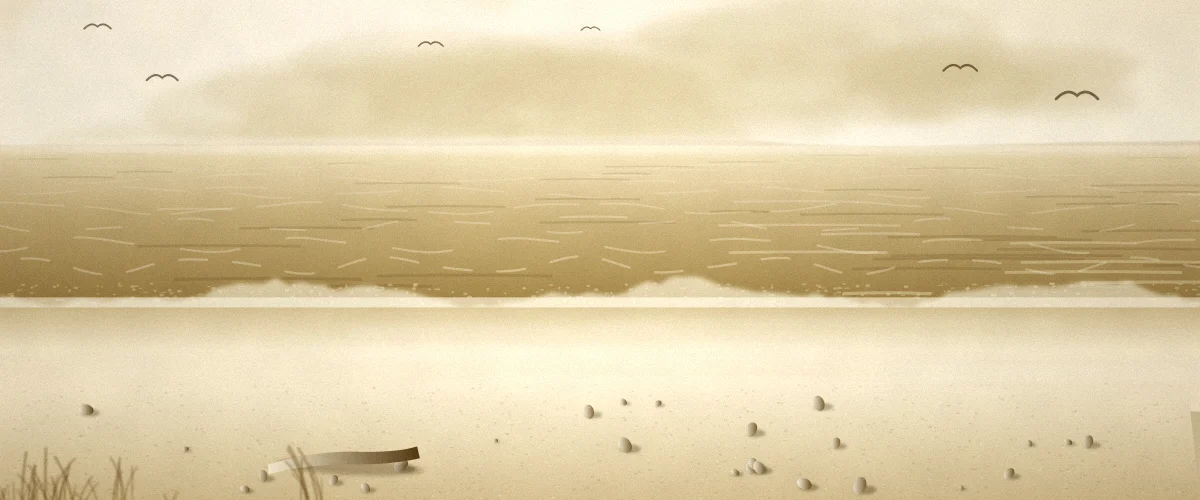 波打ち際と海鳥のいる砂浜の風景イラスト
