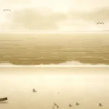波打ち際と海鳥のいる砂浜の風景イラスト