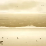 波打ち際と海鳥のいる砂浜の風景イラスト