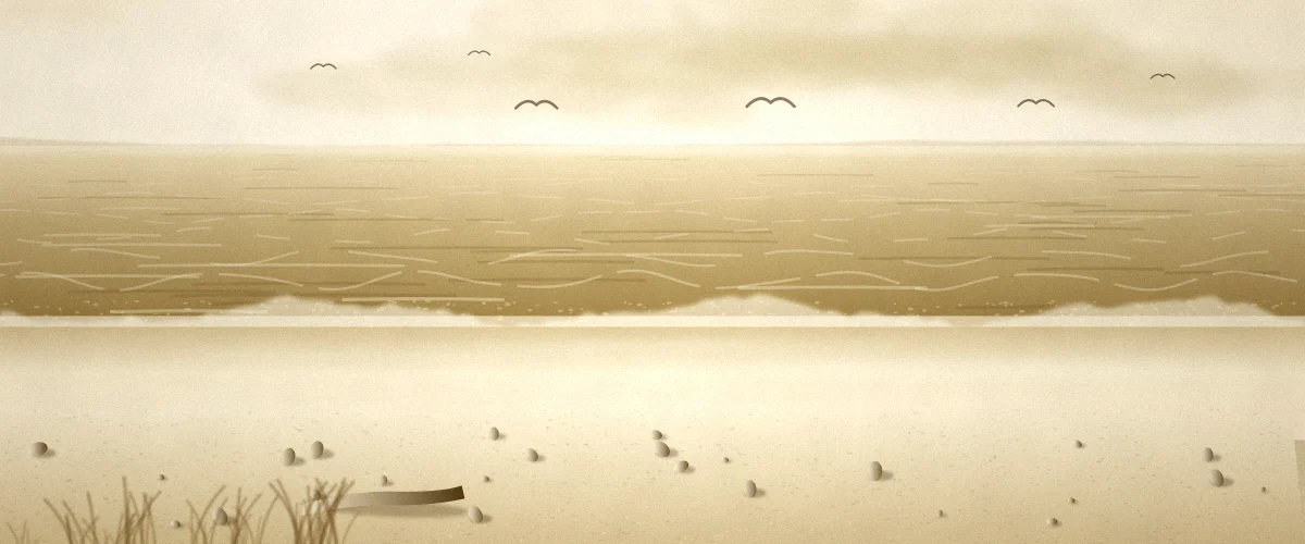 波打ち際と海鳥のいる砂浜の風景イラスト
