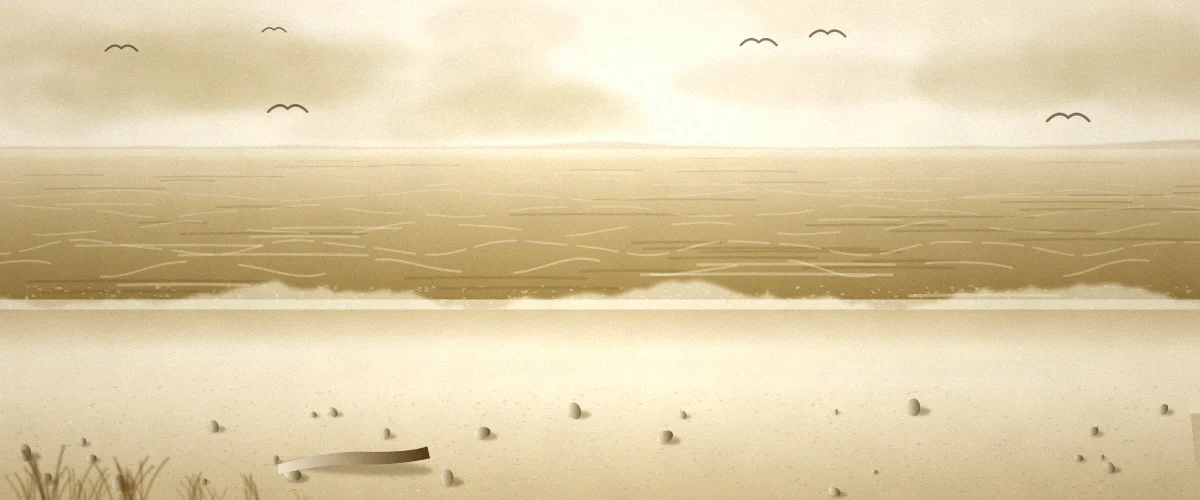 波打ち際と海鳥のいる砂浜の風景イラスト