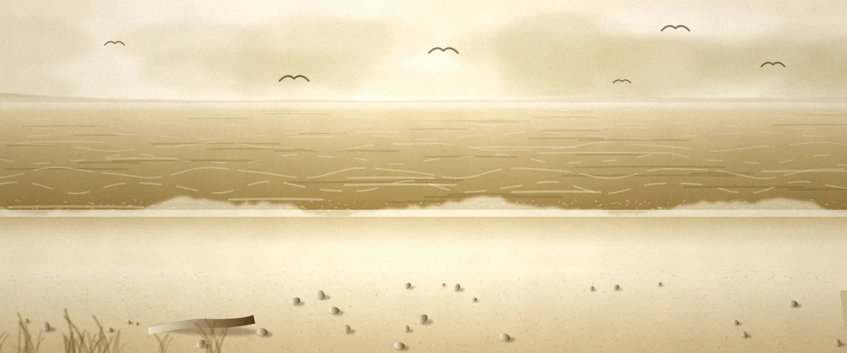 波打ち際と海鳥のいる砂浜の風景イラスト