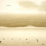 波打ち際と海鳥のいる砂浜の風景イラスト