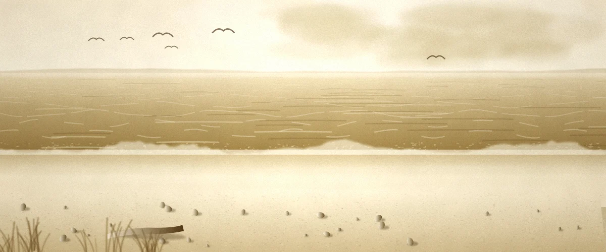 波打ち際と海鳥のいる砂浜の風景イラスト