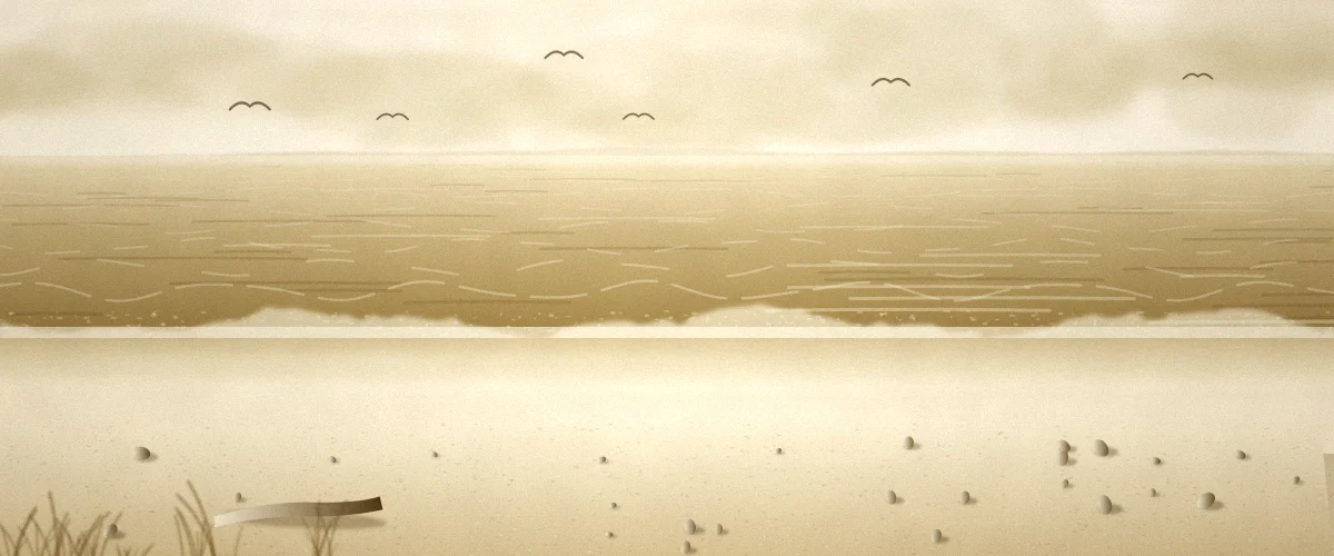 波打ち際と海鳥のいる砂浜の風景イラスト